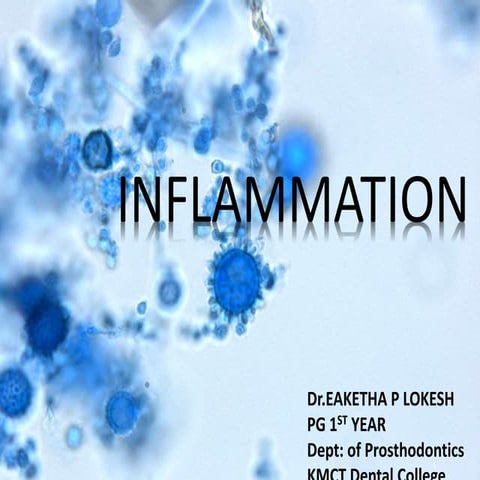 Inflammation  seminar