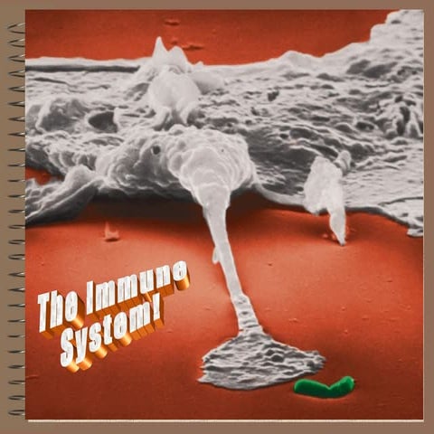 Inflammatory response nonspecific