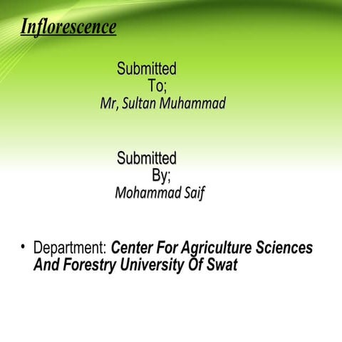 Inflorescences & Its Types
