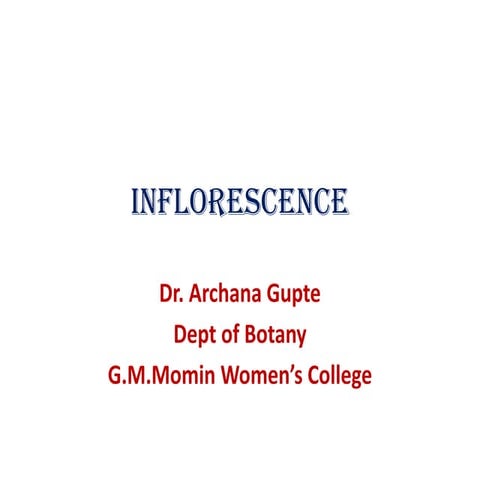 Ty Inflorescence types & special structure | PDF