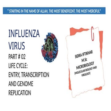 Comprehensive Overview of Influenza Virus Life Cycle: Entry ...
