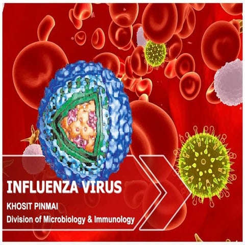 Influenza 