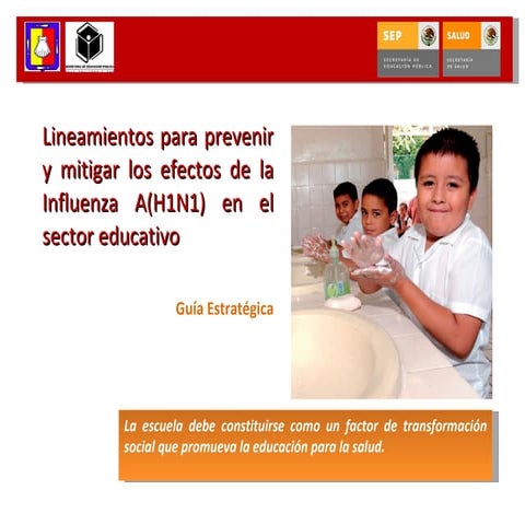 Influenza  Lineamientos