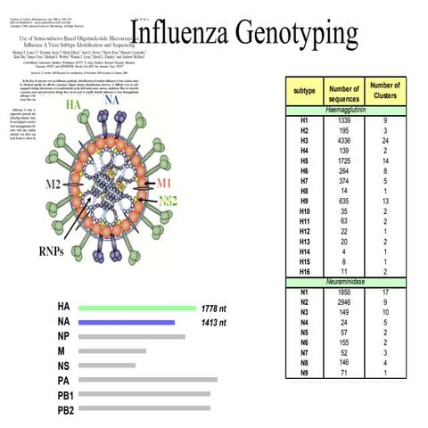 Influenza talk 05142008