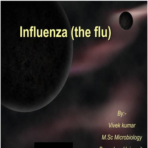 Influenza virus 
