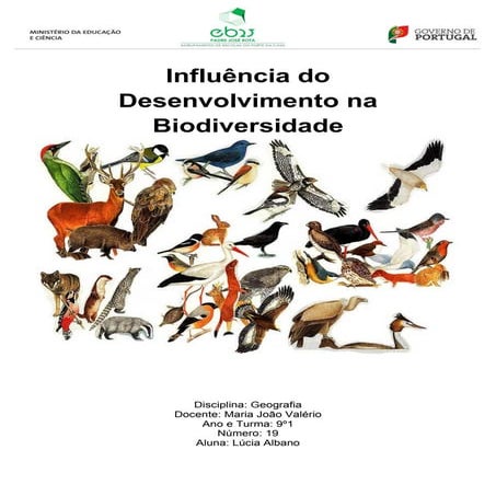 Influência do desenvolvimento na biodiversidade lúcia albano 9º1