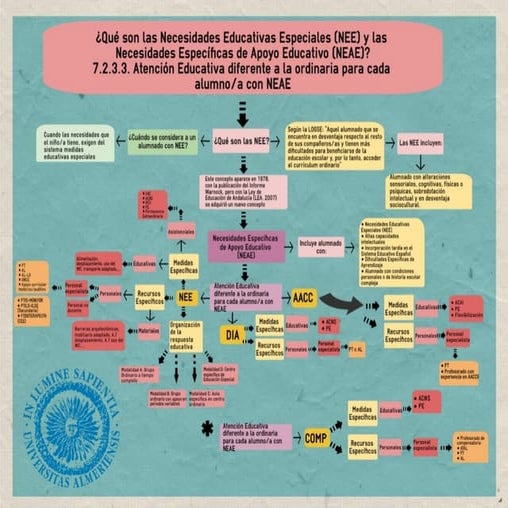 Infografía act. 5.1.1 neae | PDF