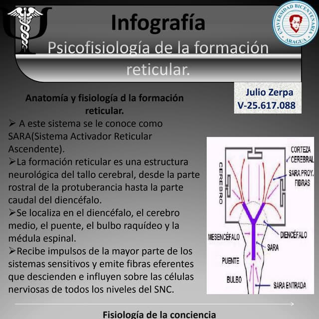Infografia