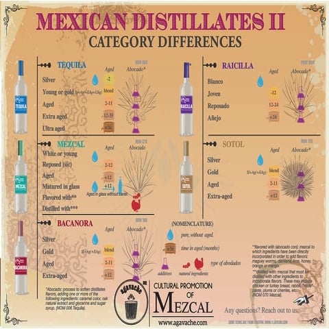 The category differences between the main Mexican distillates. | PDF