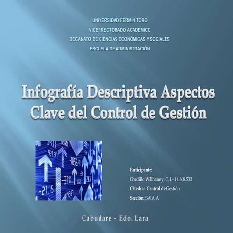 Infografia control de gestion