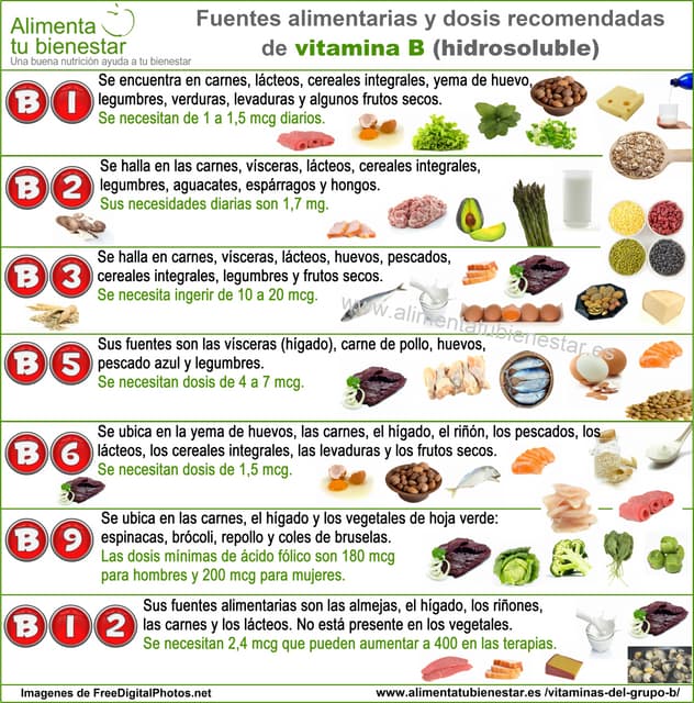 VITAMINAS DEL COMPLEJO B