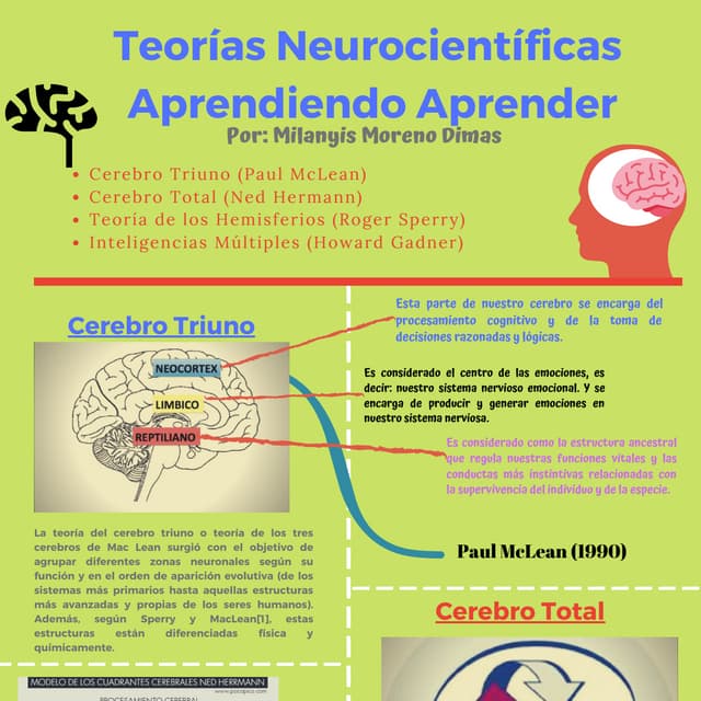 TEORÍAS NEUROCIENTIFICAS-APRENDIENDO APRENDER