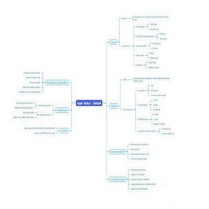 Harta mentala - buget