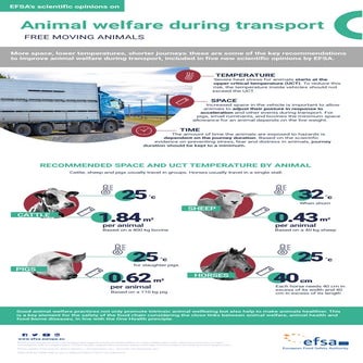 Welfare of animal during transport | PPTX