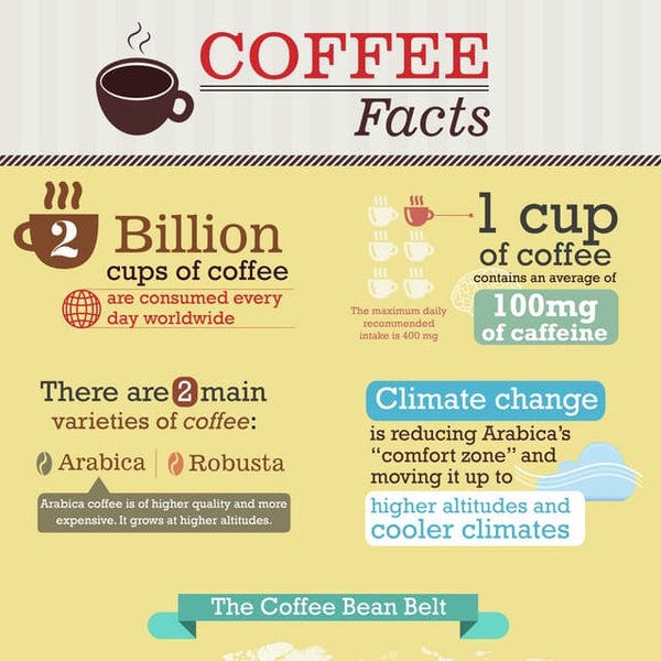 Coffee & Personality, Coffee facts
