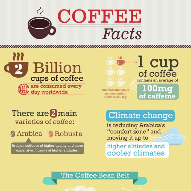 Coffee Facts Infographic 