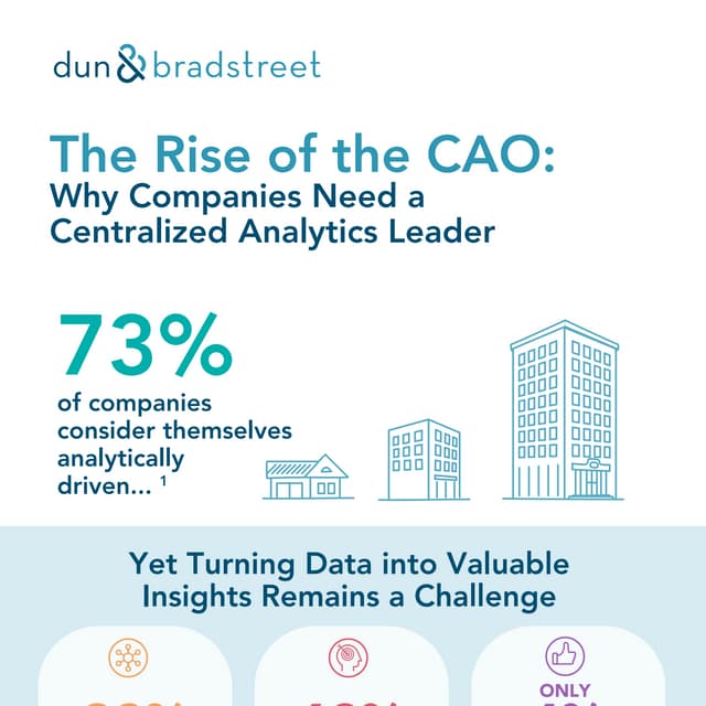 The Rise of the CAO: Why Companies Need a Centralized Analytics Leader