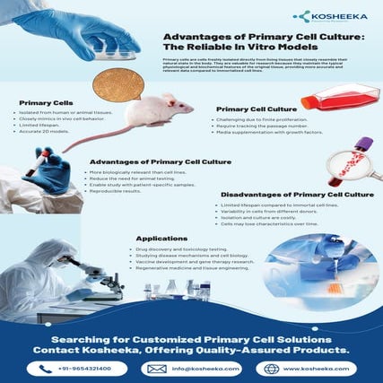 Primary Cells vs Cell Lines: The In Vitro Models of Cell Culture ...