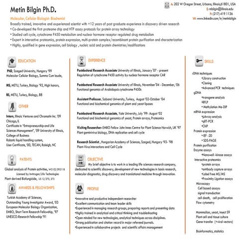 Infographic CV MB Long