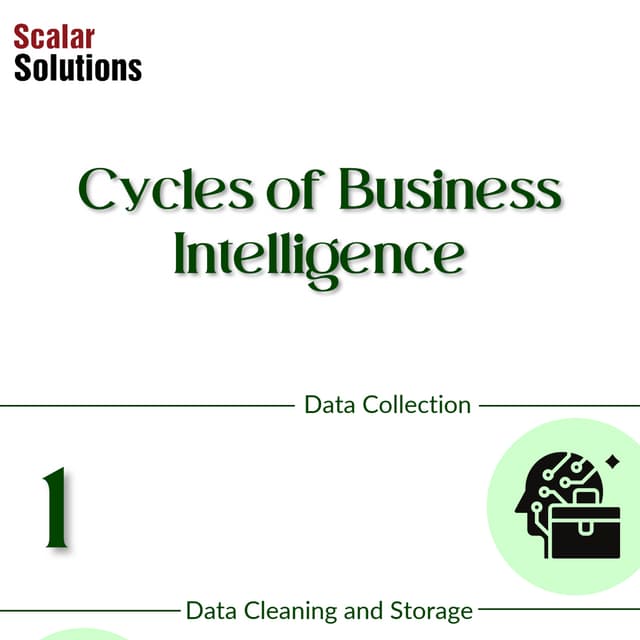 Cycles of Business Intelligence