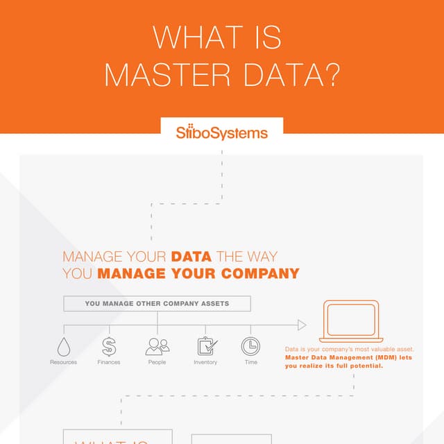 What is master data?