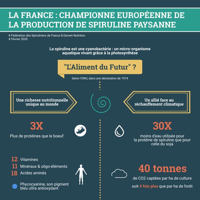 Infographie la france, championne de la production de spiruline paysanne