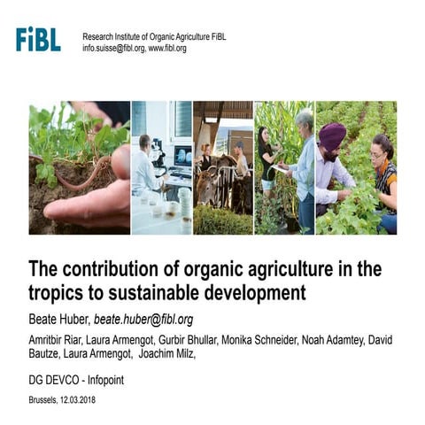 The importance of organic agriculture for low/middle income countries - A sta...