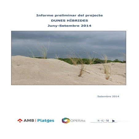 Informe preliminar del projecte Dunes Híbrides