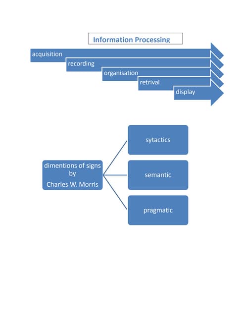 Information process digram