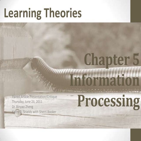 Info process ch5_paired_presentation_6_23