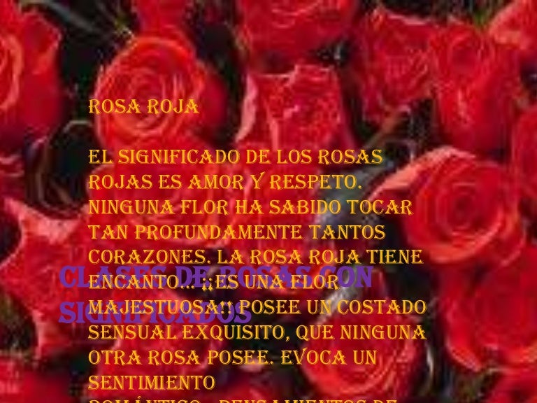 Rosas