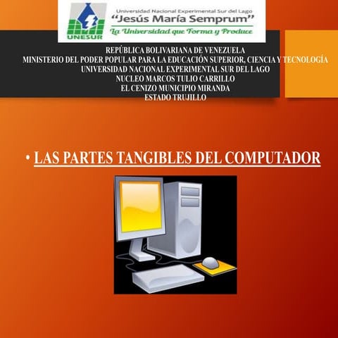 TIPOS DE CARCASAS | PPS