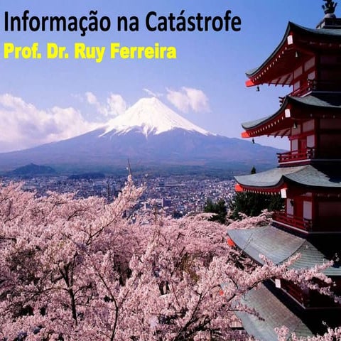 Informação na catástrofe
