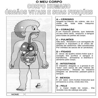 Informação sobre as funções do noss...