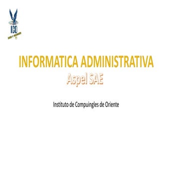 Informatica administrativa
