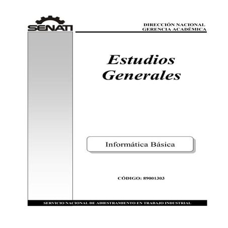 INFORMATICA BASICA.pdf