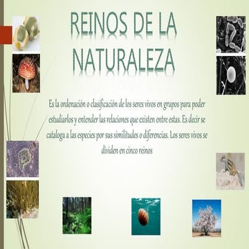 los 5 grande reinos de la naturaleza | PPTX
