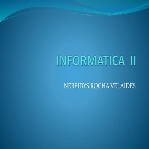 Informatica ii nebeidis
