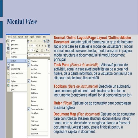 Informatica lucrarea