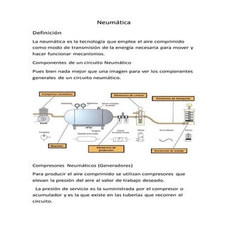 Informatica neumatica