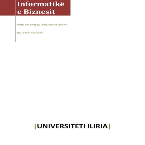 Informatike e Biznesit