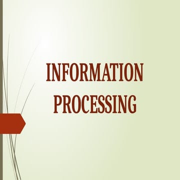 INFORMATION-PROCESSING information procc/.pptx