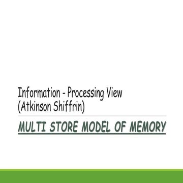 Information - Processing View (Atkinson Shiffrin).pptx