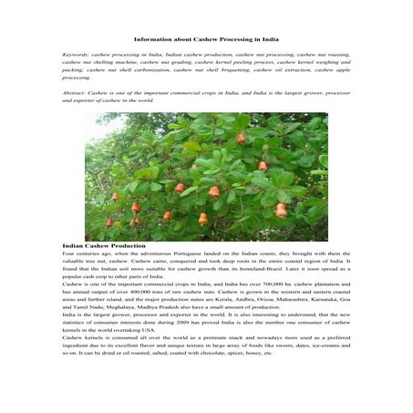 Information about cashew processing in india