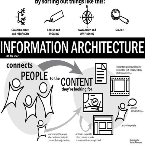 What is Information Architecture and How Can It Help My Website?
