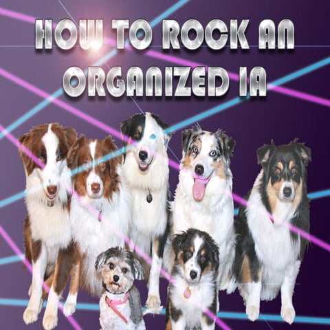 Information architecture workshops