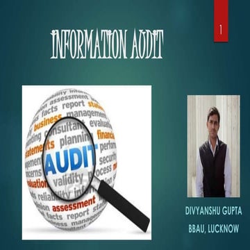 Information Audit | PPTX