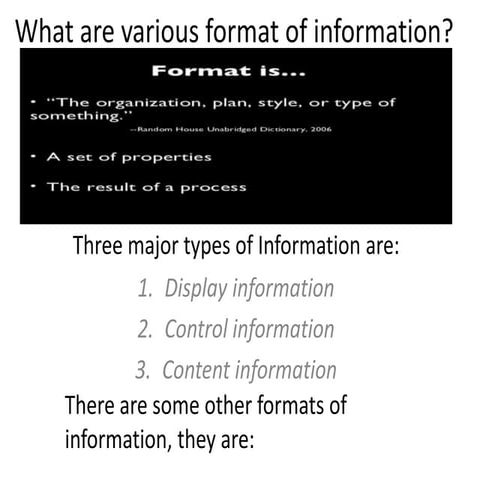 Information Formats | PPT