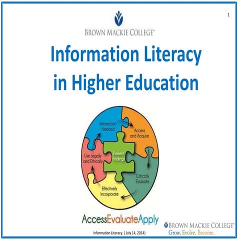 Information literacy in higher education 1