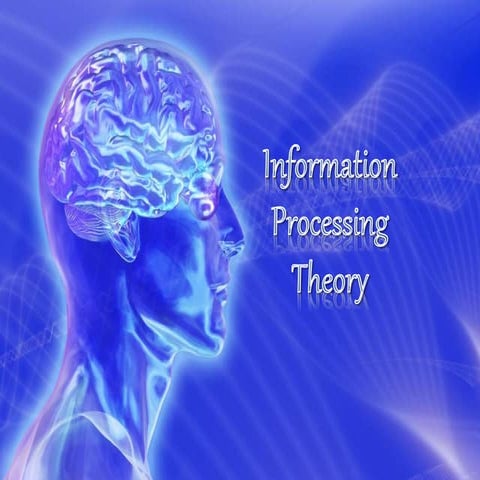 information processing theory